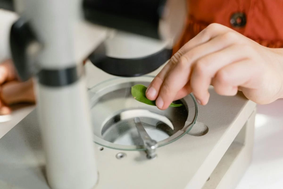 Licenciatura en Biotecnología: una nueva carrera interdisciplinaria para la UBA