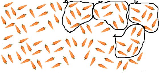 Desde luego que la representación de las zanahorias puede ser icónica (con dibujitos o con palitos).