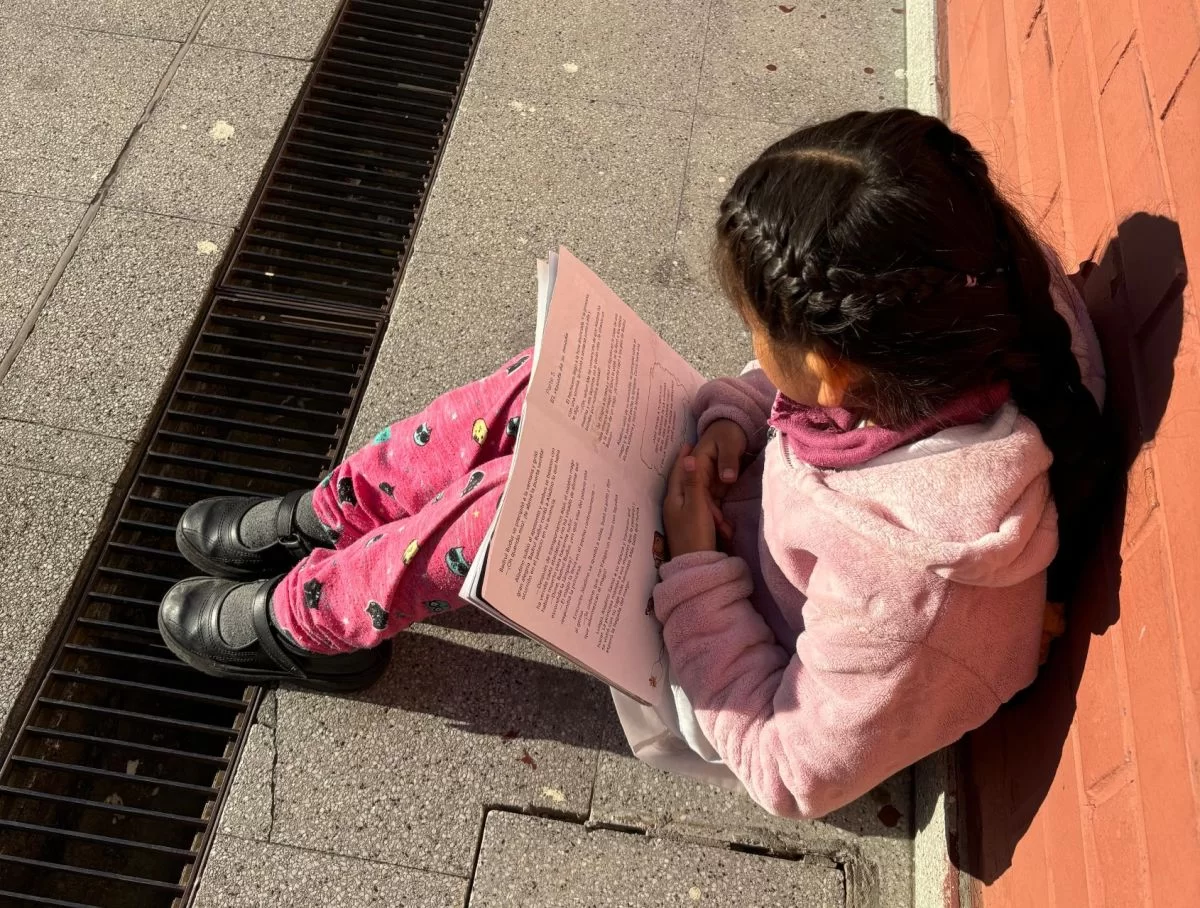 Esas cosas, acaso, son la lectura