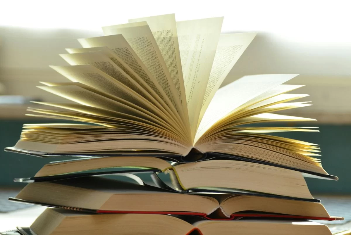 Por qué Suecia y otros países europeos volvieron a creer en los libros de papel