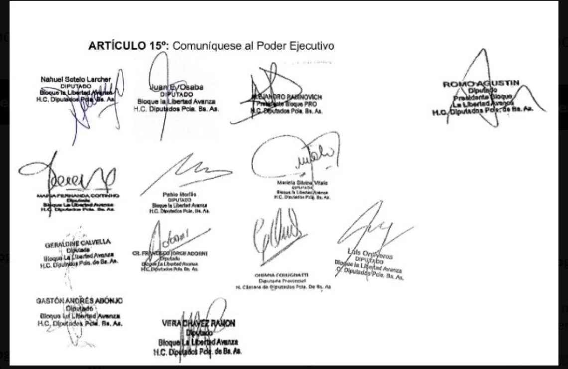 Trece diputados de LLA firmaron el proyecto. 